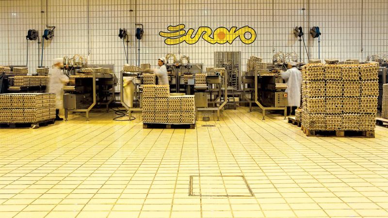 Uova