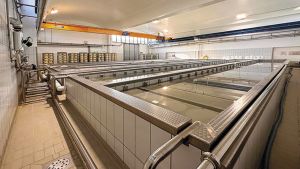 Le piscine delle forme di Grana, Parmigiano Reggiano, e...
