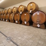 Vino