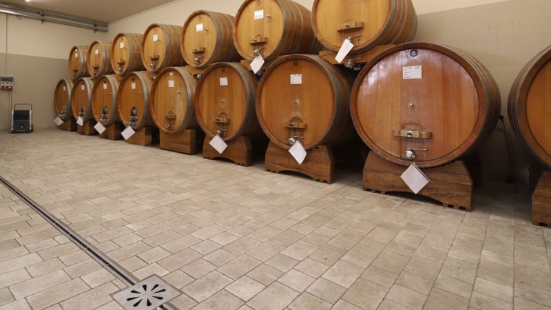 Vino