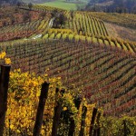 Terre del Barolo