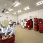 Gastronomia e Ristorazione
