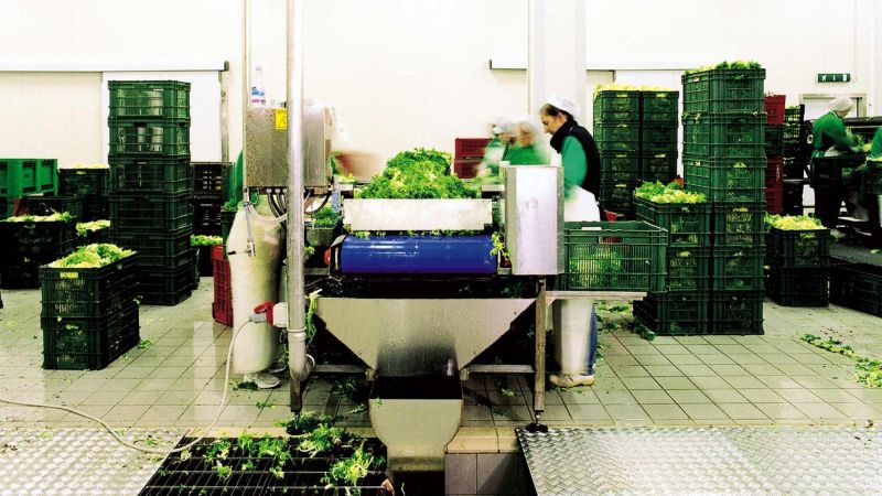 Frutta e verdura