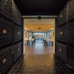 Vino