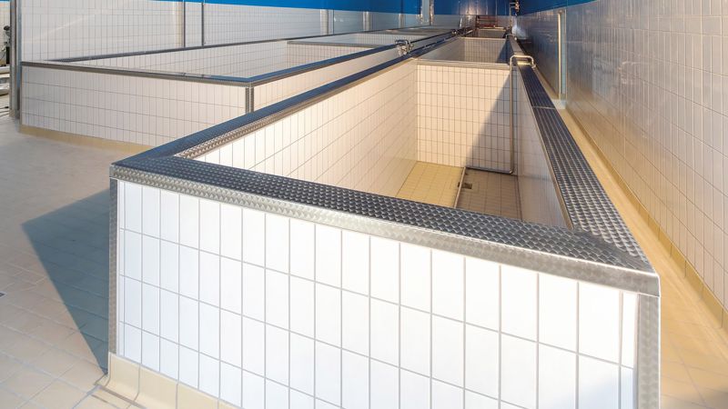 Le piscine delle forme di Grana, Parmigiano Reggiano, e...