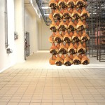 Salumi