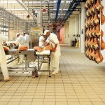 Salumi