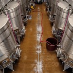 Vino