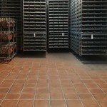 Salumi