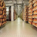 Salumi