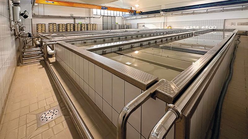Le piscine delle forme di Grana, Parmigiano Reggiano, e...