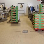 Frutta e verdura