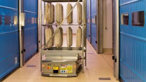 CERTOSA SALUMI