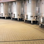 Vino