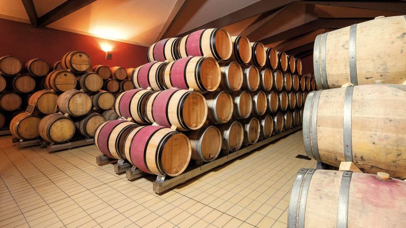 Vino