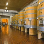 Vino