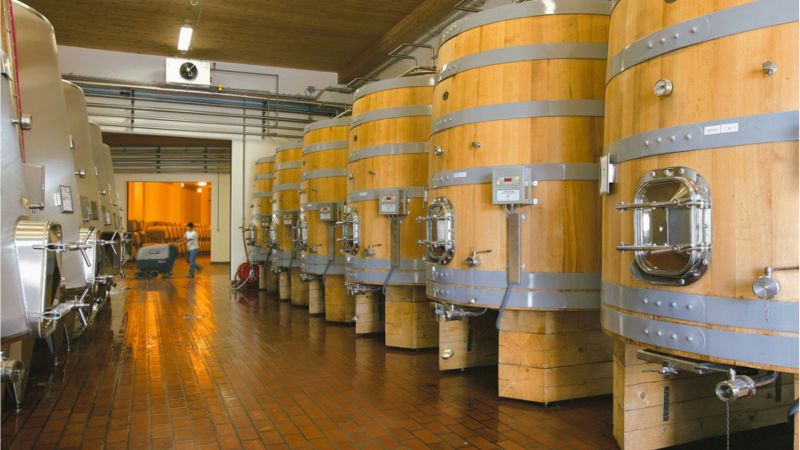 Vino