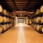 Vino