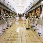 Non solo Alimentare
