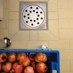Frutta e verdura