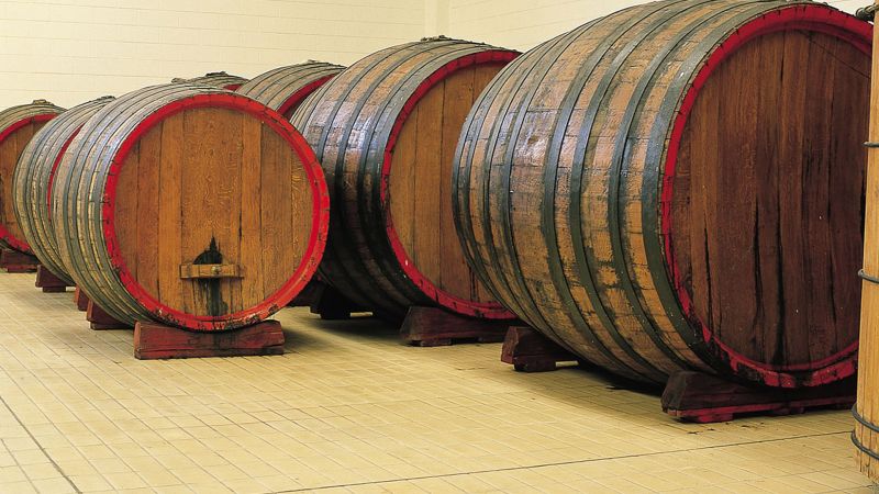 Vino