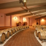 Vino