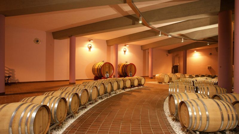 Vino
