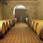 Vino