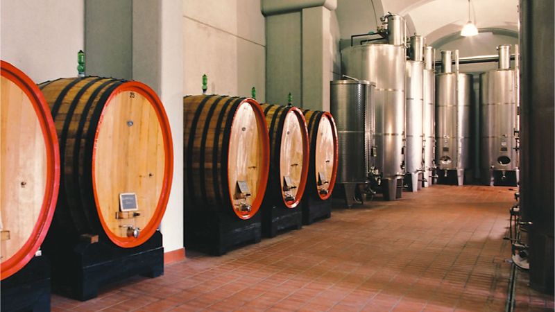 Vino