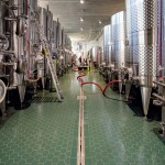 Vino