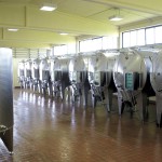 ARALDICA VINI