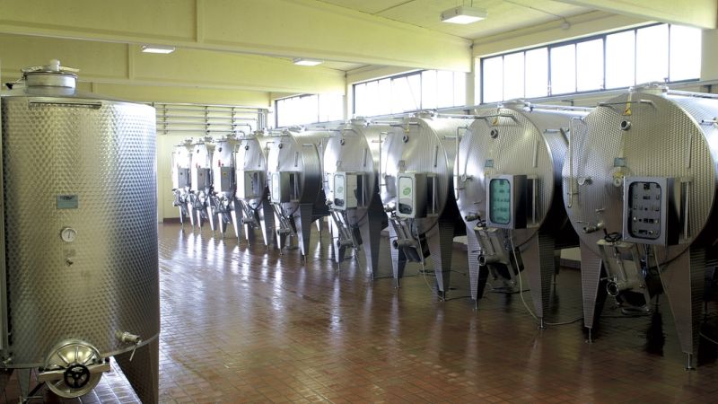 ARALDICA VINI