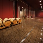 BATASIOLO CANTINA