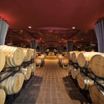 BATASIOLO CANTINA