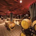 BATASIOLO CANTINA