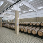 BERLUCCHI GUIDO FRANCIACORTA