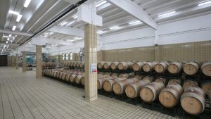 BERLUCCHI GUIDO FRANCIACORTA