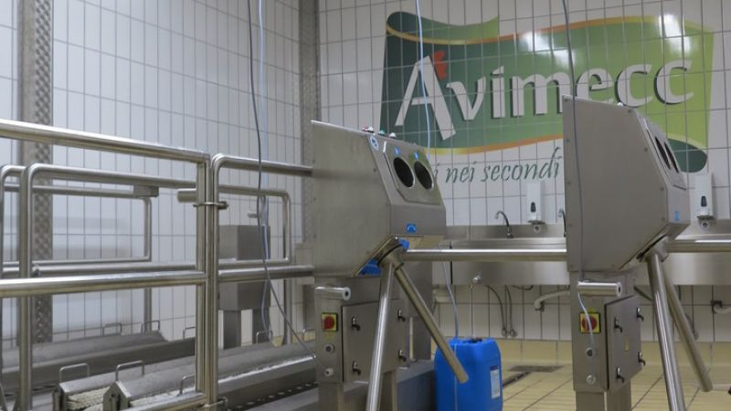 AVIMECC
