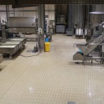 CASEIFICIO DEL CIGNO