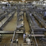 FRANCIA MOZZARELLA GMBH