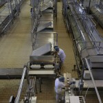 FRANCIA MOZZARELLA GMBH