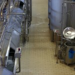 FRANCIA MOZZARELLA GMBH