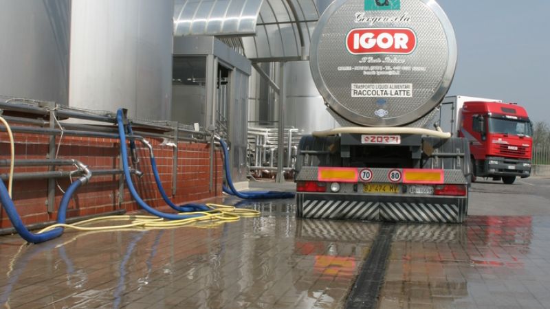IGOR