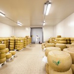 LATTERIA SOCIALE DI MANTOVA