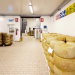 LATTERIA SOCIALE DI MANTOVA