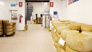 LATTERIA SOCIALE DI MANTOVA