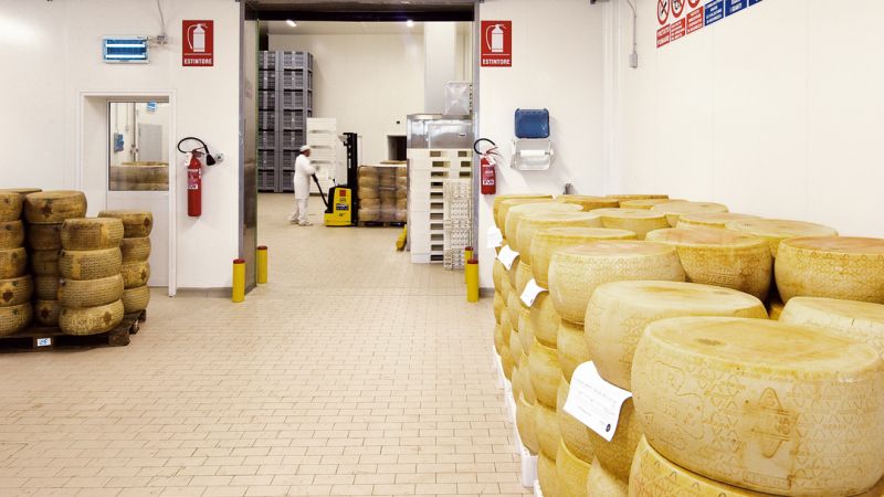 LATTERIA SOCIALE DI MANTOVA