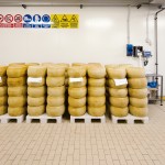 LATTERIA SOCIALE DI MANTOVA