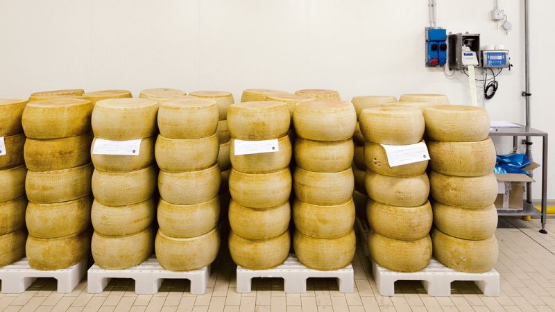 LATTERIA SOCIALE DI MANTOVA
