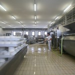 CASEIFICIO PALENI